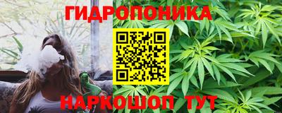 ешки Бийск