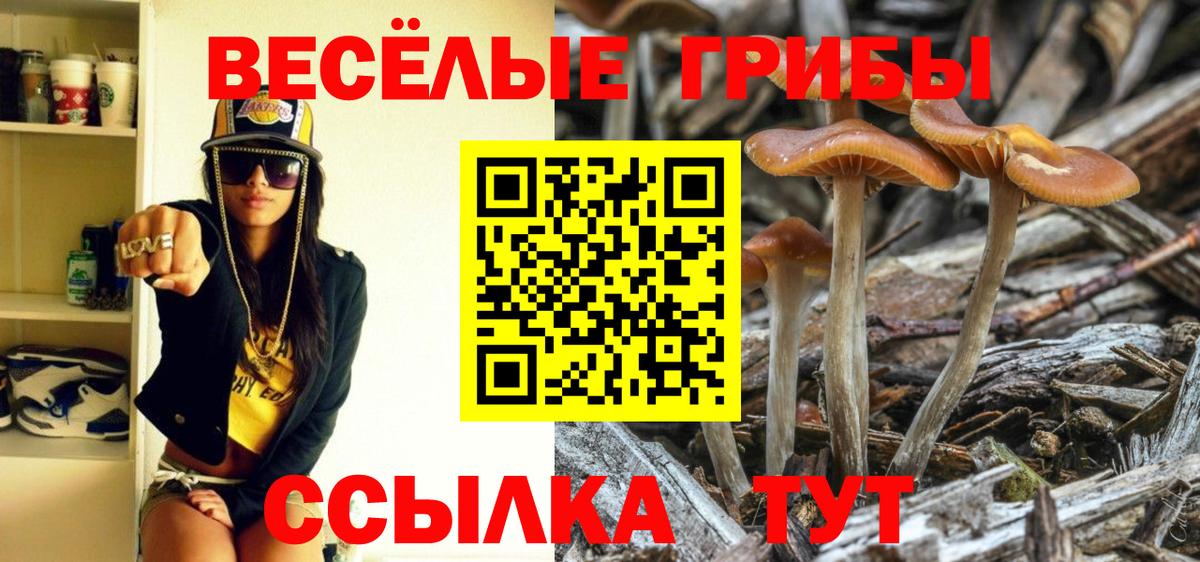 Галлюциногенные грибы прущие грибы Кириши